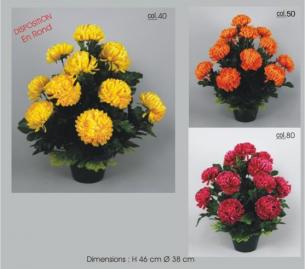 Chrysanthemes