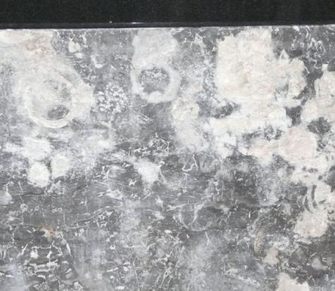 re-polissage de marbres et granits